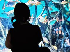 -常州海昌海洋探索馆