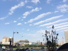 签到图片-喜来登酒店-盛宴标帜餐厅