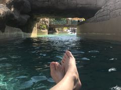 -亚特兰蒂斯水世界冒险乐园