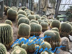 -南山植物园