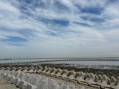 -南汇嘴观海公园