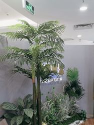 -八佰伴8008星级形象店