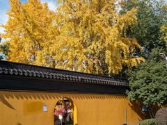 -西园寺素食(西园弄戒幢律寺店)