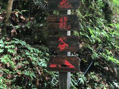 -夏霖九天银瀑风景区