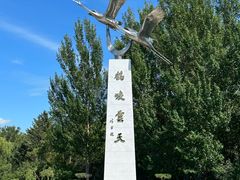 -黑龙江扎龙生态旅游区