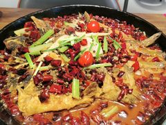 -老板恋上鱼(恒隆广场店)