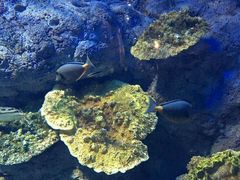 -福州罗源湾海洋世界旅游区