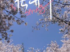 -闵行体育公园(七宝镇)