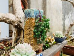 -昆山城市生态森林公园