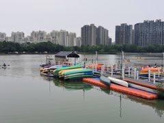 -南翔镇银翔湖公园