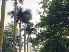 -广东海洋大学(湖光校区)
