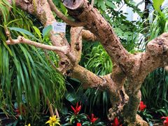 -北京植物园-展览温室