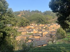 -杨家堂村