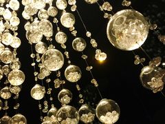 -广州四季酒店·佰鲜汇·现代法餐