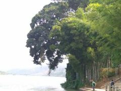 -苏家围·东江画廊旅游景区