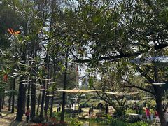 -人民公园(罗湖区)