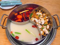 -青瓷火锅料理(西单大悦城店)