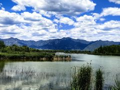 -野鸭湖国家湿地公园