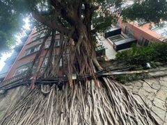 -烟台山景区