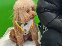 -美联众合动物医院·24h转诊中心
