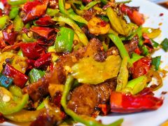 -柴窝堡22号辣子鸡·传承新疆菜