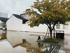 -青果巷历史文化街区