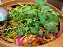 -胡须佬鸡煲四季火锅(龙珠大道店)