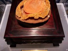 -广舟(千禧店)