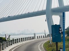 -芒洲湿地公园