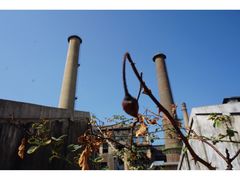 -广州市紫泥堂文化创意园景区