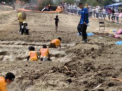 -上林马术中央公园·户外露营·团建·骑乘