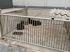 -潇河湿地公园
