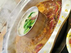 -金鼎雪山牦牛杂火锅(理县总店)