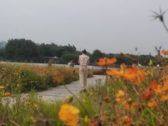-海珠湖公园
