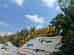 -西双版纳原始森林公园