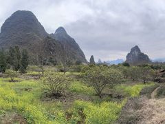 -61号餐吧(兴坪古镇漓江店)