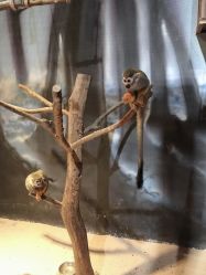 -酷嗒动物文化乐园(cutezoo西溪乐天城店)