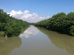-大湾区中央湿地公园