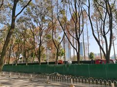 -后襄河公园