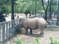 -西安秦岭野生动物园