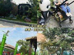 -苏州太湖国家湿地公园