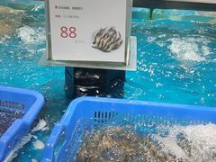 水产区-盒马鲜生(岭南新世界店)