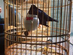 -到家尝北京菜(西坝河店)