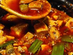 -陈麻婆豆腐总店