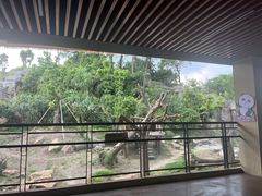 -宁波野生动物园