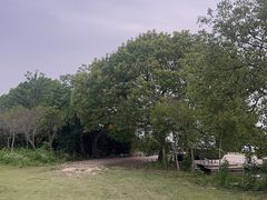-暮谷MUGO ·团建聚会·露营烧烤·生日派对·共享菜地