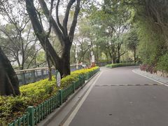 -金鸡山公园