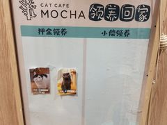 -MOCHA明星猫咖(田子坊店)