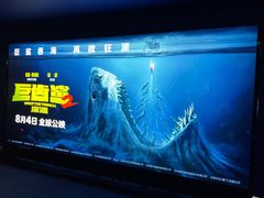 -SFC上影影城(港汇永华IMAX激光店)