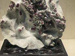 -安徽省地质博物馆